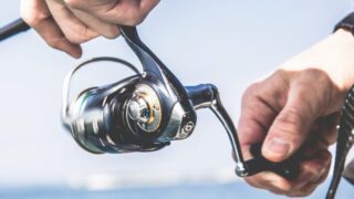 マリンライフを仕事にした人たち― 海の近くで働くという選択肢 ―