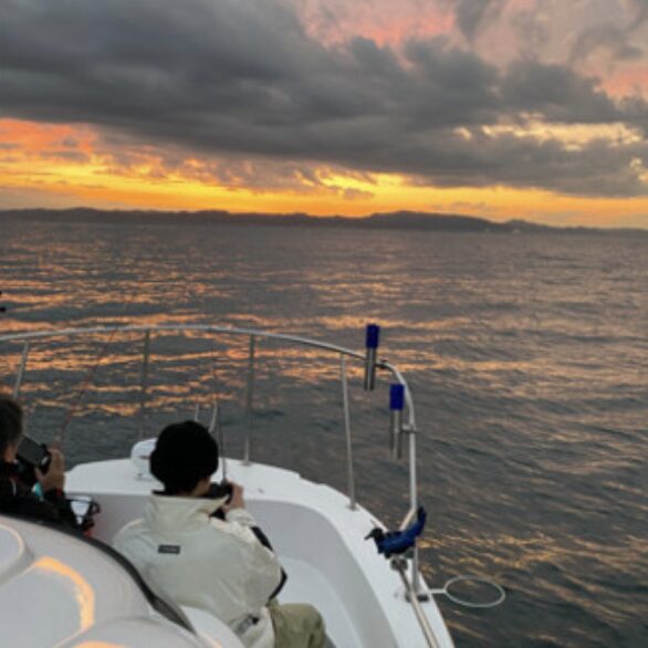 購入手続き：契約から名義変更・検査まで