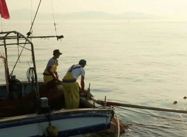 海の仕事の魅力とリアル