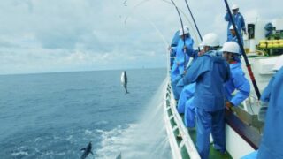 ― 海の近くで働くという選択肢 ―マリンライフを仕事にした人たち