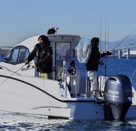 全国で流通豊富な中古艇