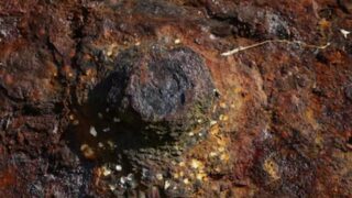 ボートオーナー必見!メンテナンスガイド 硬くて回らない錆びたボルトはこう外す!