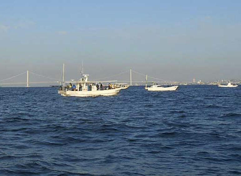 タチウオ狙い｜流しやすさと取り回しが強い中古船が快適